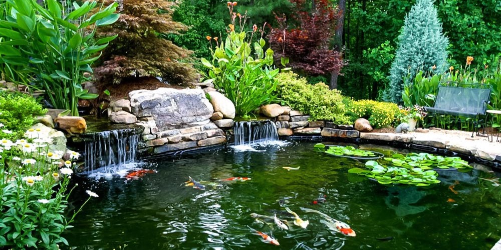 garden pond installation in wrexham