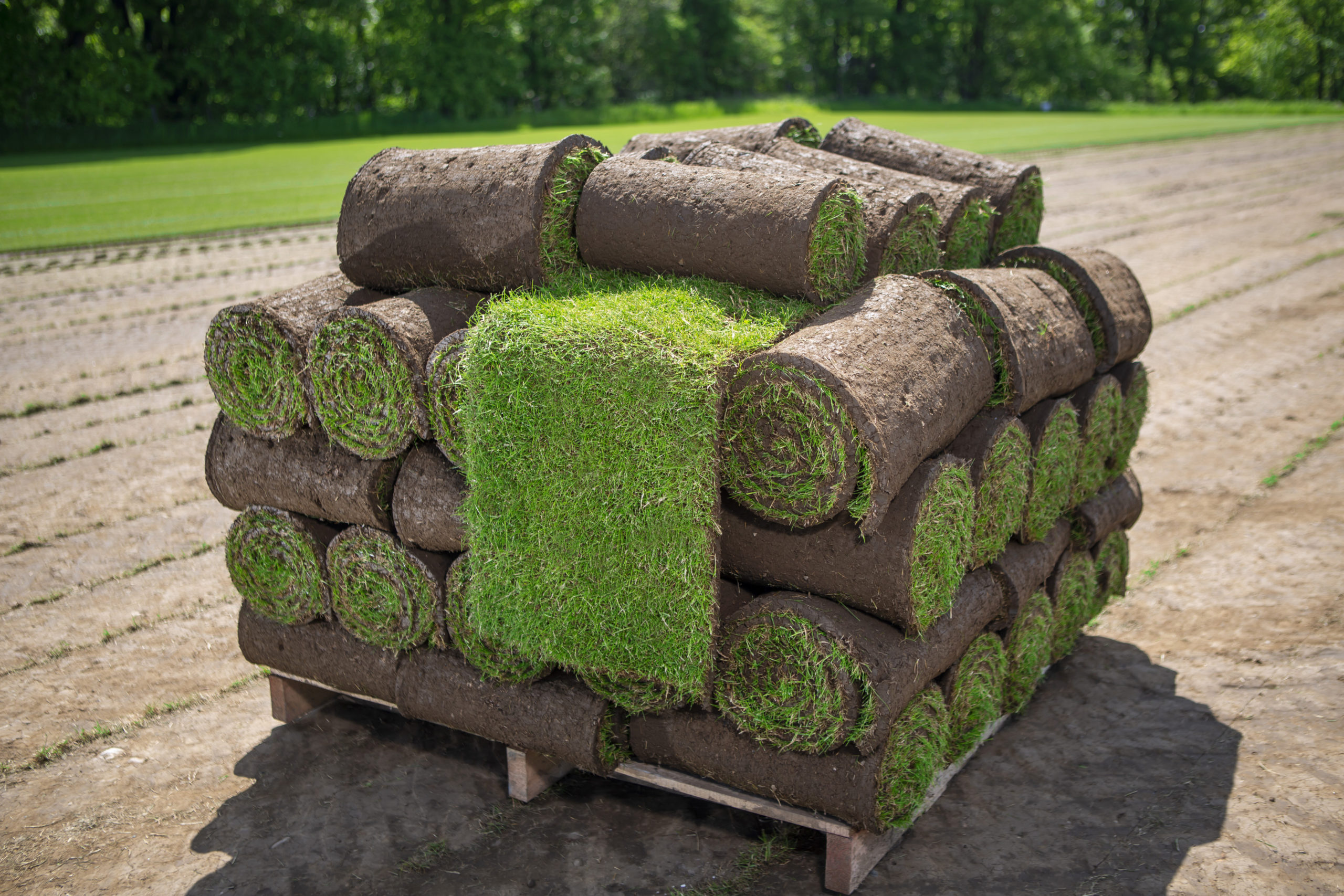 turf installers wrexham